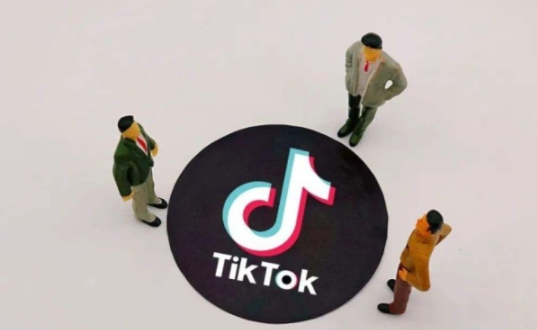 tiktok海外公会入驻价格