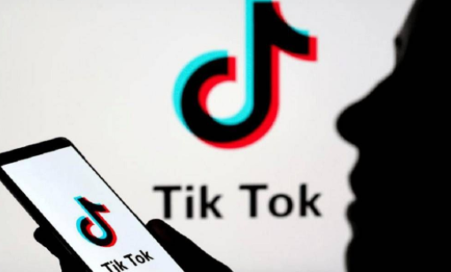 tiktok爆红案例