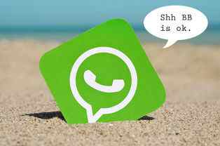 WhatsApp无法接收验证码怎么处理
